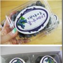 세련2농장 이미지