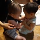 메이플랜드펜션 이미지