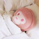 마일로 | 삿포로 베이프 마일로 백팩 구매후기