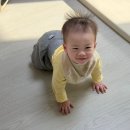 고모약국 | 육아일기 :: 11개월 게으른 엄마를 용서하렴