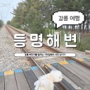 등명해변관광지 | [ 강릉 ] 북적이지 않아 좋은 바닷가 기찻길 &#39;등명해변 &#39;, 강릉여행 바다 해변 애견동반 추천