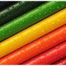 디자인혼 이미지