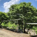 준스테이 이미지