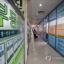 수정공인중개사사무소 이미지