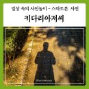 꿈꾸는 키다리