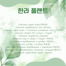 풀마켓 이미지