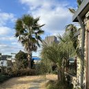 A-21 | 제주 구좌 가성비 좋은 숙소 스테이셀레네 A, 21개월 아기랑 방문후기