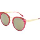 데이지 독 이미지