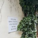 매일약업사 이미지