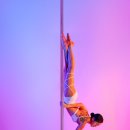 폴케이아카데미 이미지