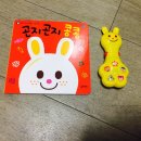 민콩콩