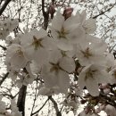 봉진농장 이미지