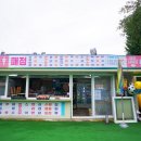 삼풍수영장 이미지