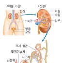 양명요양병원 이미지
