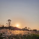 영산강로 이미지