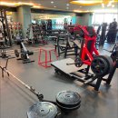 더엠 휘트니스 이미지