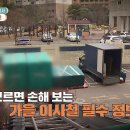 [라이프 팩트체크, 포도] 1) 가을 이사철, 이것만은 꼭! 2) 가을철 나들이 팩트체크 3) 제철 포도, 알고 먹으면 더 맛있다! 이미지