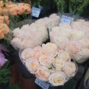 튜울립 꽃 주머니 만들기 이미지