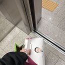 아이리드 | 서면 아이리드 내돈내산 짝눈 쌍수 후기, 당일 붓기