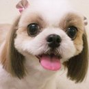 을지라사 네이버블로그