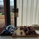 여아농장 | 용인 포레스트벨 겨울 아이와 가볼만한곳 두돌 여아 후기