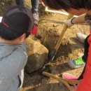 승범농장 이미지