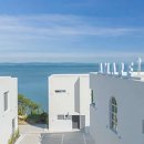 태안 알로하오에 애견풀빌라 이미지