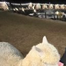 동탄대로4다길 이미지