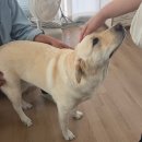 휘게마을 | [경기/파주] 분위기 양식 맛집 '이그조틱 헤이리점' & 소품샵 '리틀마이휘게' 솔직 후기!