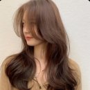 두발컷