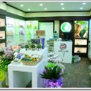 허브앤꿈 이미지