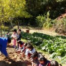 하늘바다어린이집 이미지