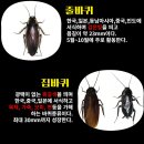 천도태권도장 이미지