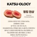 정상카츠 - 창원시 진해구 남영로 63 | 정상카츠