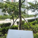 빽다방 평택고덕점