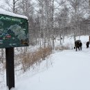 삼아어산 | 얼어 죽을 뻔 했던 생애 첫 동계 백팩 - 강원도 매봉산 원추리숲