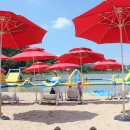 옐로우 펀 이미지