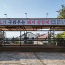 놀다가면돼지