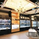 미니펫 강아지분양 고양이분양 수원점 이미지