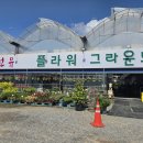 초록화원 | 인천 선유플라워 그라운드 방문 후기 및 대형 화원 플랜테리어 추천