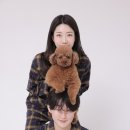 더줌스튜디오