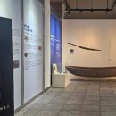 창녕 비봉리 패총전시관 이미지