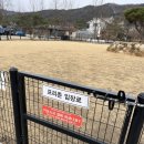 애견 전용 개별 울타리 캠핑장 가평 아워 포레스트 내돈내산 이용후기