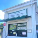 핑크애견 | 용인자작나무숲 입장료 카페 애견 동반 할로윈 핑크뮬리 아이랑 후기