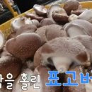 고지내농장