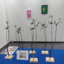 광천교회앞 | 광주 2025 박물관미술관 박람회