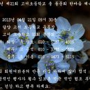 고서초등학교 이미지