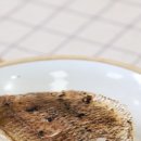 (봄맞이) 한입 요리 이미지