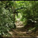 진달래공원 | 인천등산 코스 추천 트래킹 하이킹 베스트10