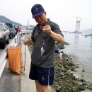 마창대교 옆 이미지